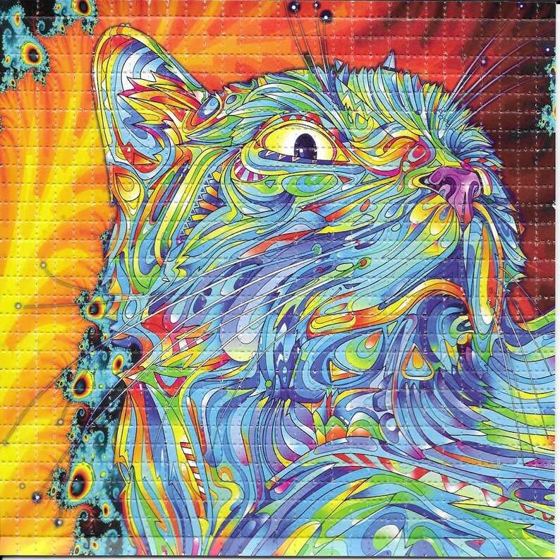 LSD Blotter Kunst Splash Cat Design 19x19cm - LSD Blotter von gripdealer.ch - Nur CHF 69.90! Jetzt bei GripDealer